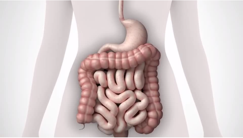 【医学动画】胃病杆菌三维动画制作医疗视频宣传片医学流程