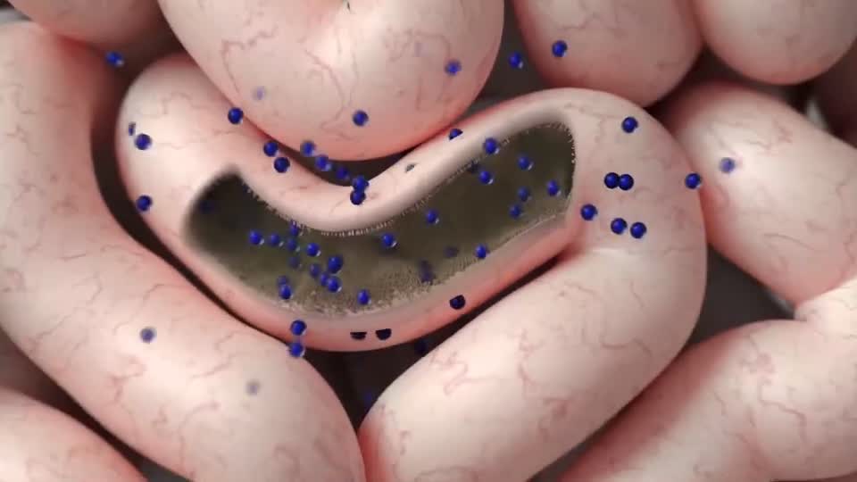 【医学动画】胃病杆菌三维动画制作医疗视频宣传片医学流程