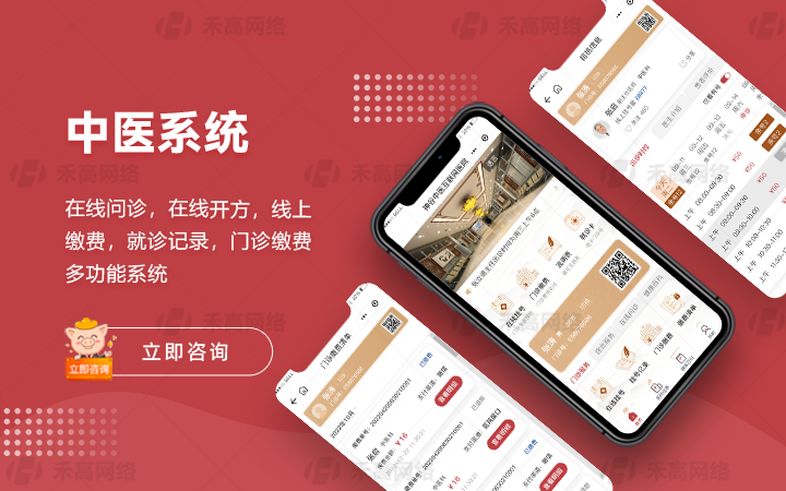 禾高网络科技-国家企业-专注研发15年