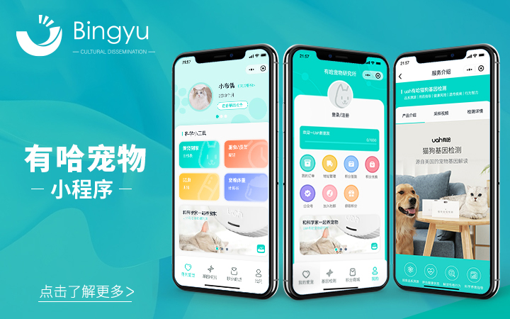 丙煜文化-十年专业定制开发