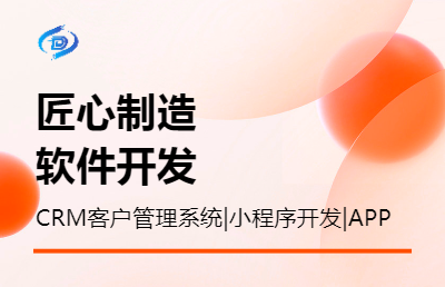 软件开发 客户管理系统 销售管理系统 ERP进销存