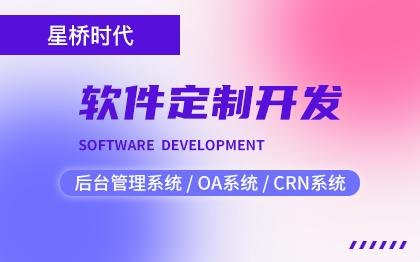 <hl>软件</hl>开发网站<hl>定制</hl>OA系统CRM系统<hl>SaaS</hl>平台ERP系统