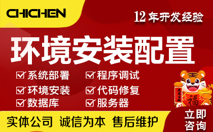 服務(wù)器部署程序調(diào)試環(huán)境搭建代碼修復(fù)數(shù)據(jù)庫故障修復(fù)
