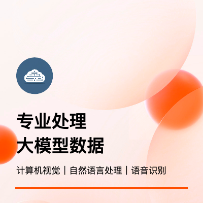 AI人工智能數(shù)據(jù)服務 數(shù)據(jù)處理