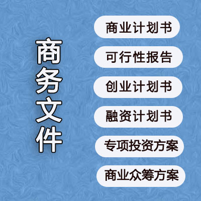 项目书商务文书项目分析投标预算书营销策划书文案策划PPT