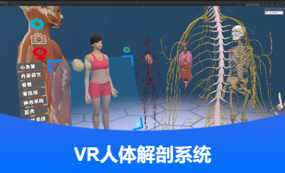 VR人体解剖科普教学项目