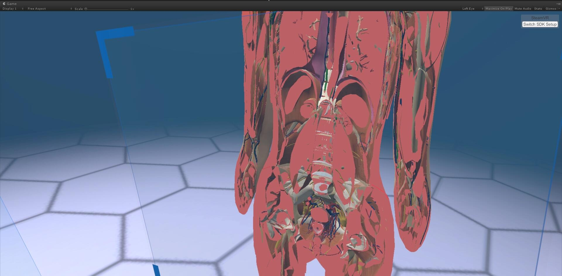 VR人体解剖科普教学项目