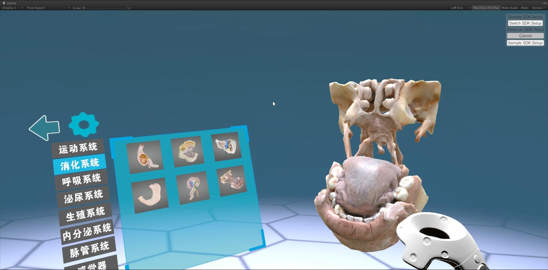 VR人体解剖科普教学项目