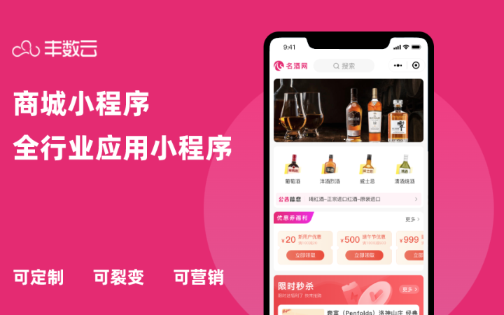 豐數(shù)網(wǎng)絡-互聯(lián)網(wǎng)技術專家