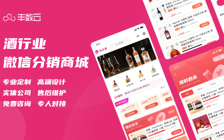 豐數(shù)網(wǎng)絡-互聯(lián)網(wǎng)技術專家