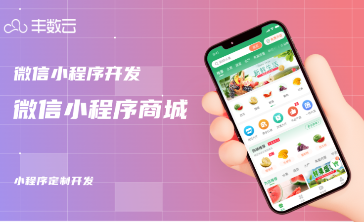 豐數(shù)網(wǎng)絡-互聯(lián)網(wǎng)技術專家
