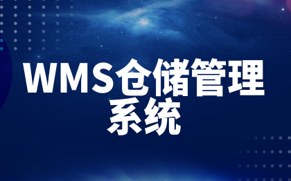 WMS仓储管理系统深圳仓库管理系统开发广州仓储物流软件