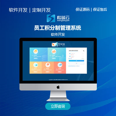 员工积分制管理系统/软件开发 / 经营管理软件开发