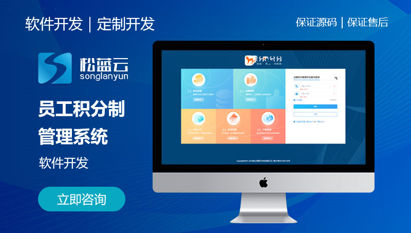 员工积分制管理系统/经营管理软件开发
