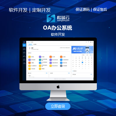 OA办公系统/软件开发 / 经营管理软件开发