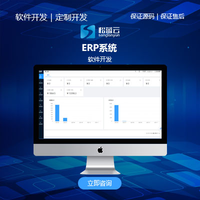 ERP系统/软件开发 / 经营管理软件开发