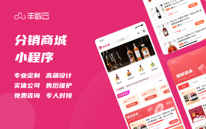 豐數(shù)網(wǎng)絡(luò)-互聯(lián)網(wǎng)技術(shù)專家