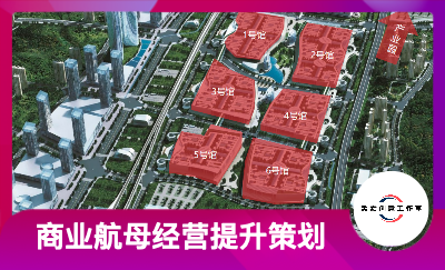 超200萬方X商業(yè)航母經(jīng)營提升方案