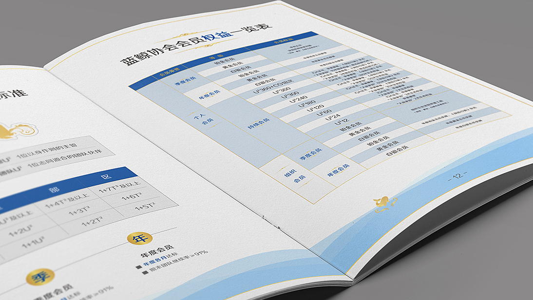 太平洋保险蓝鲸协会VI手册协会手册指导手册招商手册设计