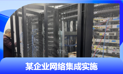 某企业办公网络集成建设，为该企业实现高效稳定的上网体验