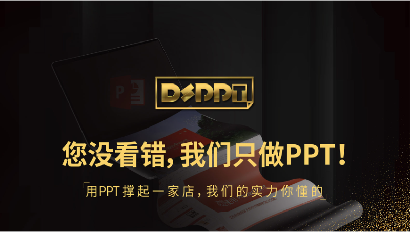 DS PPT设计案例-专业高效性价高