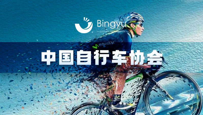 自行车协会网站-企业品牌官网建站网站建设网站开发H5定制