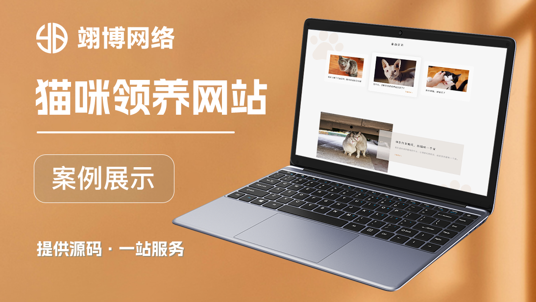 翊博网络科技-十年经验专注研发