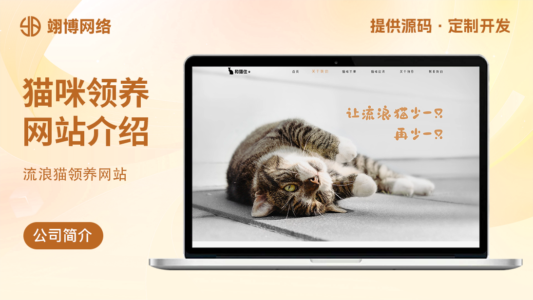 翊博网络科技-十年经验专注研发