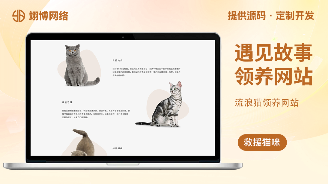 翊博网络科技-十年经验专注研发