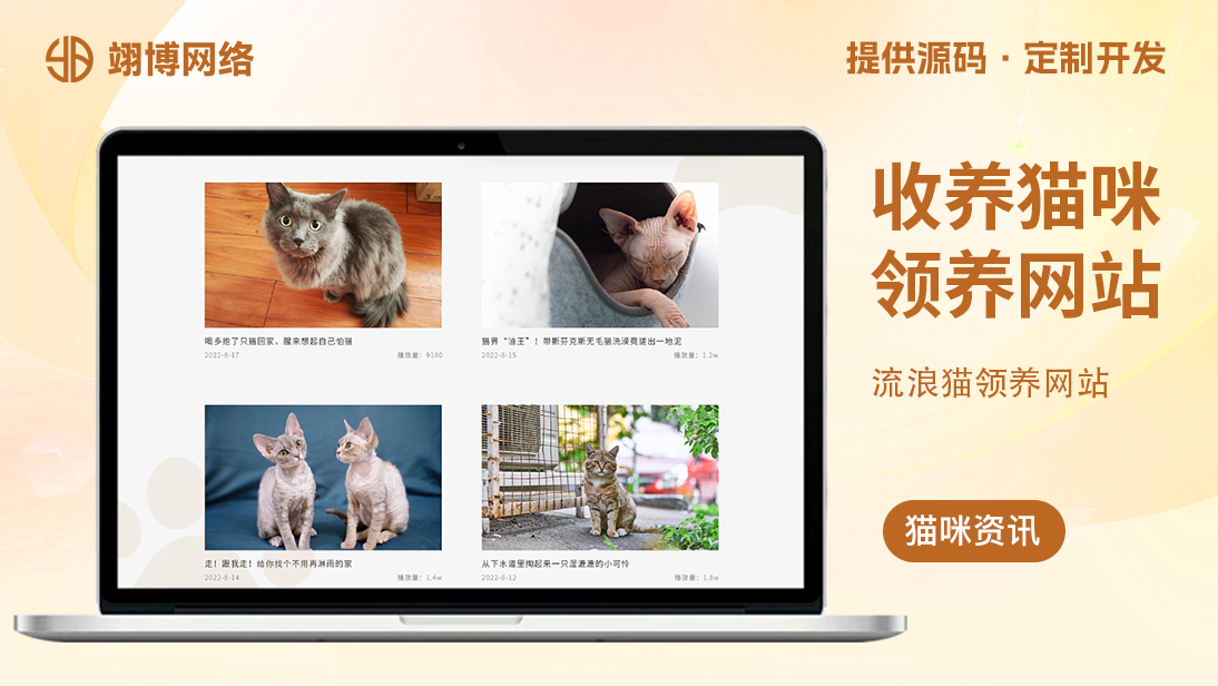 翊博网络科技-十年经验专注研发