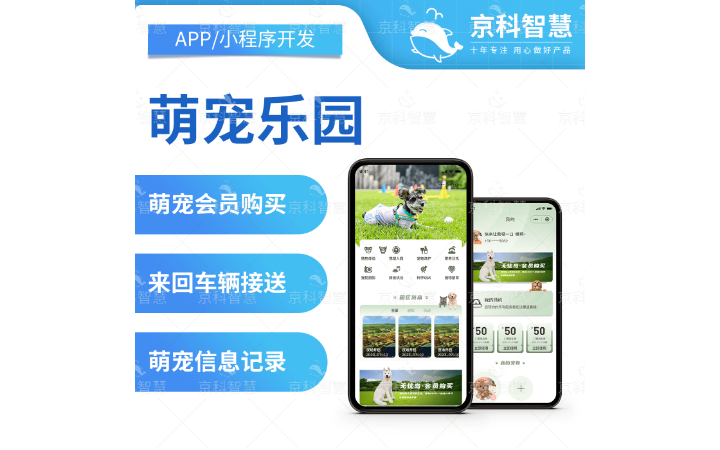 山东企飞力网络科技有限公司