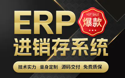 ERP企业资源计划进销存系统业务系统前端开发脚本开发UI