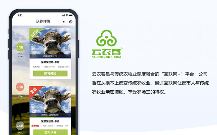 北京兄弟团队