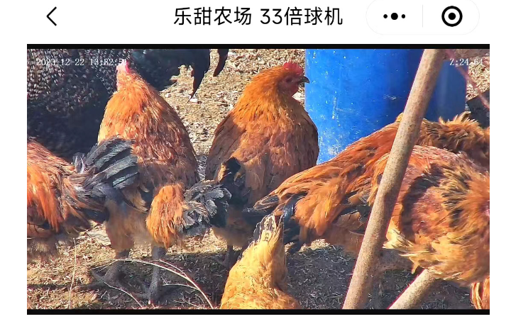 發(fā)起者科技