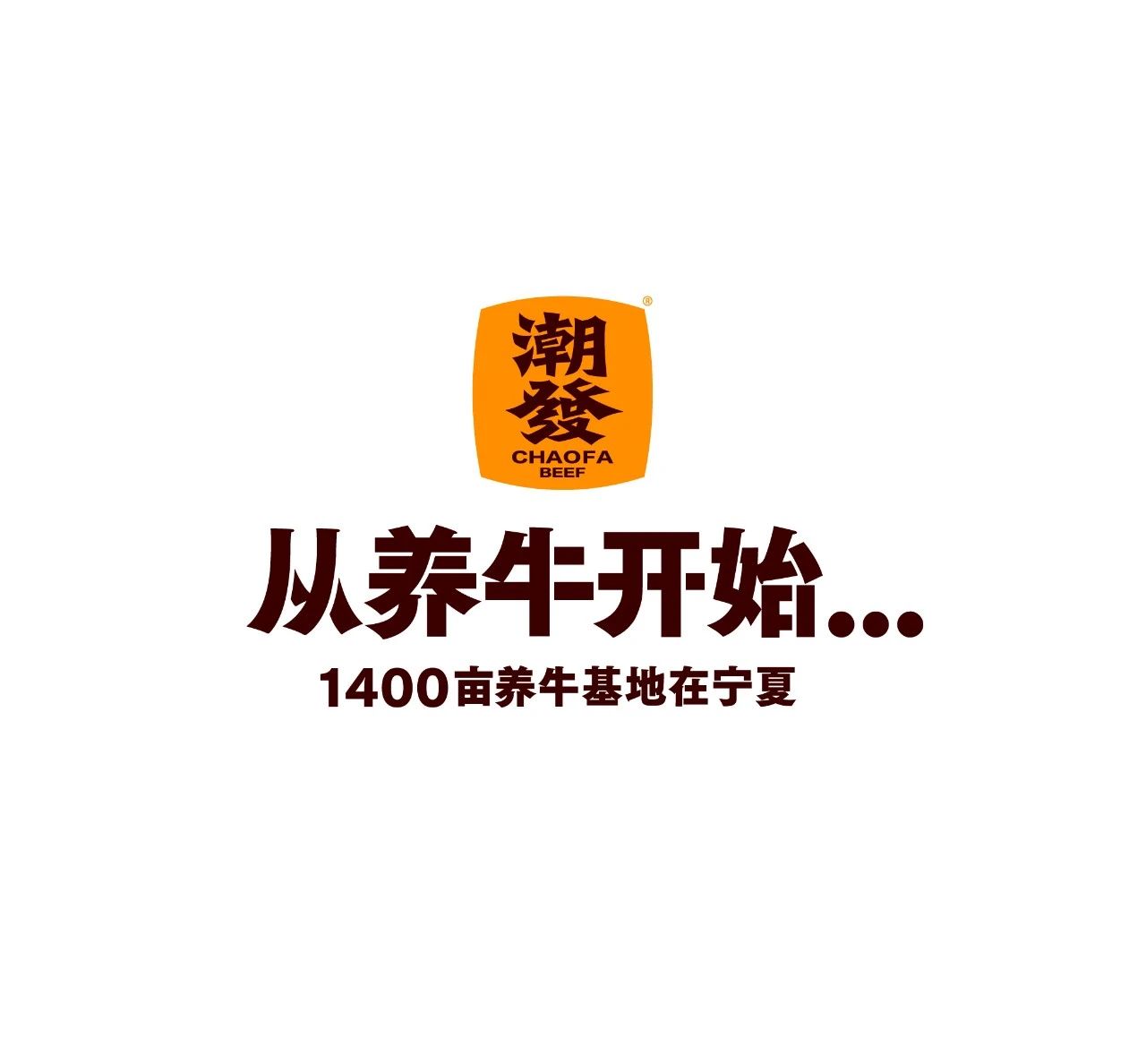 洞察餐飲-餐飲品牌全案