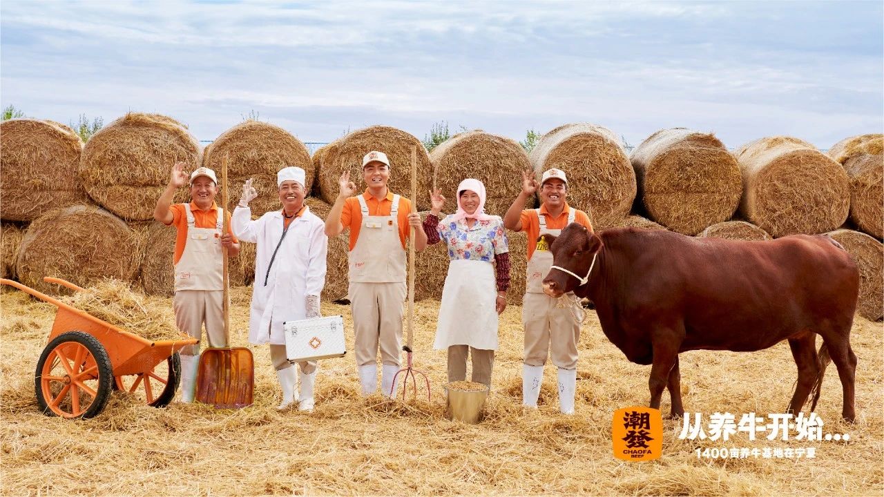 潮发牛肉火锅品牌升级！让牛肉新“鲜”可视化！-品牌全案