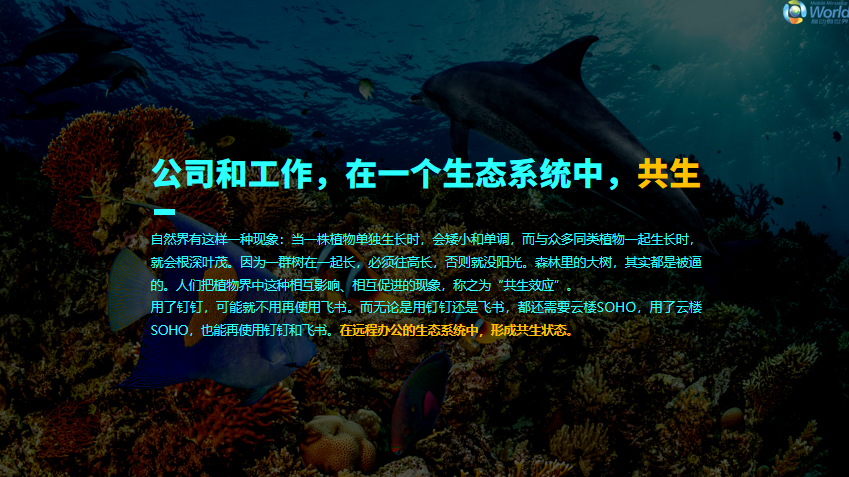 洪波品牌工作室