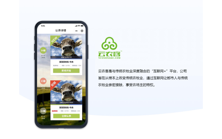 北京兄弟團隊