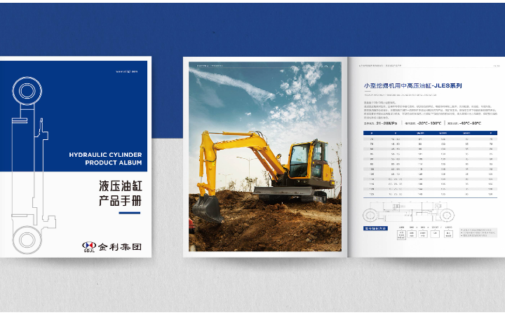 DSPPT設(shè)計-專業(yè)高效性價高