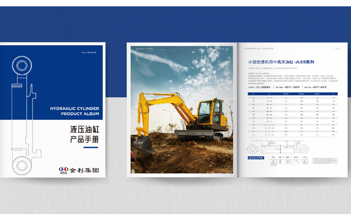 DSPPT設(shè)計(jì)-專業(yè)高效性價(jià)高
