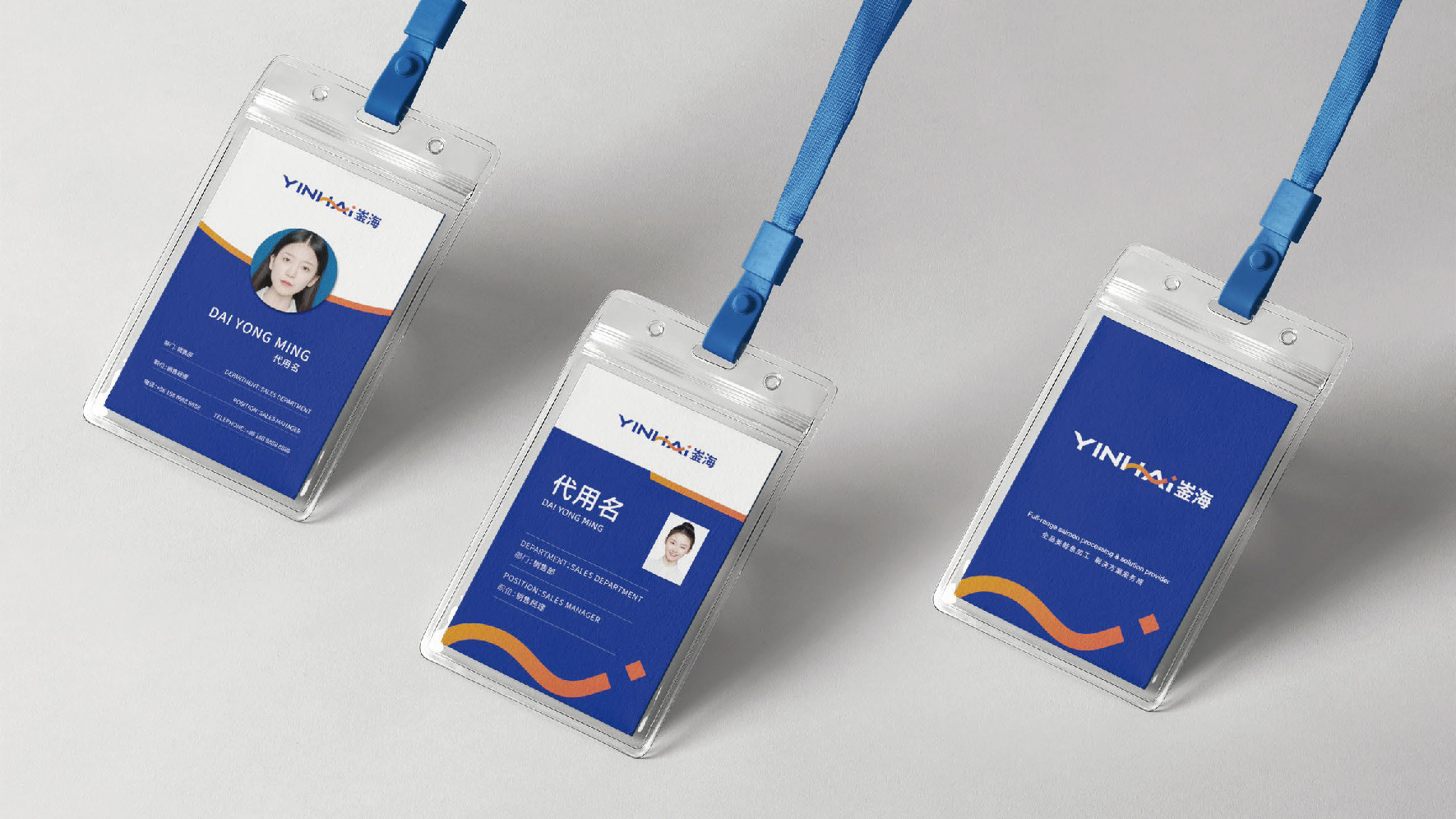 DSPPT设计-专业高效性价高