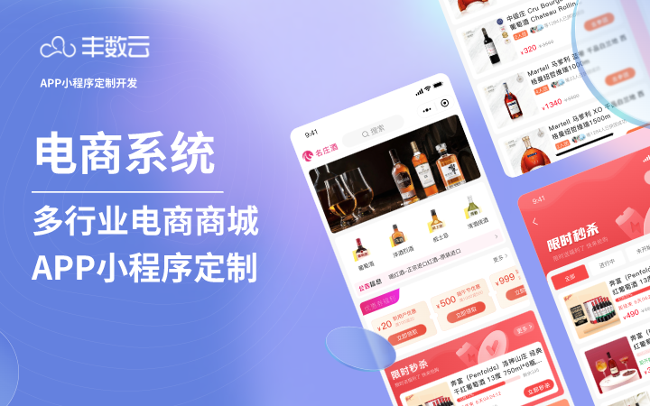 豐數(shù)網(wǎng)絡(luò)-互聯(lián)網(wǎng)技術(shù)專家