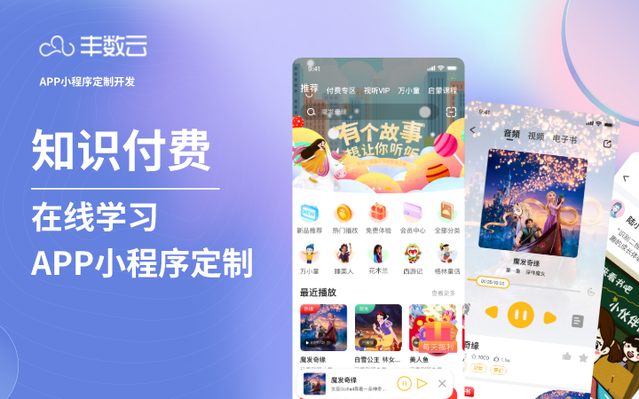 豐數(shù)網(wǎng)絡(luò)-互聯(lián)網(wǎng)技術(shù)專家