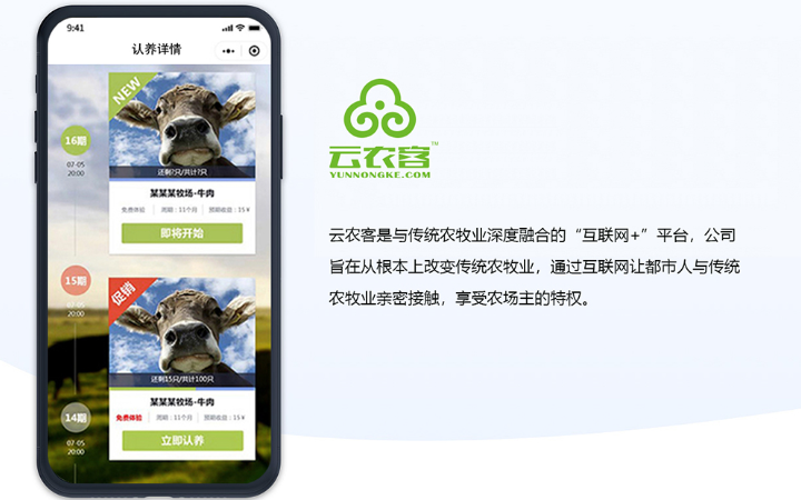 北京兄弟团队