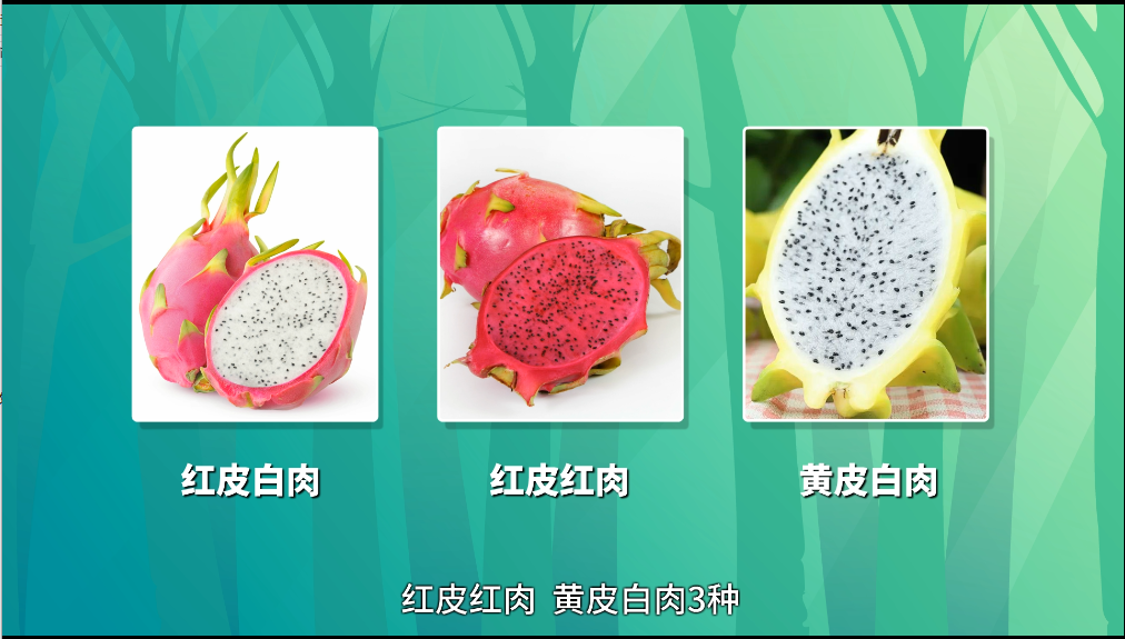 久創(chuàng)文化傳媒