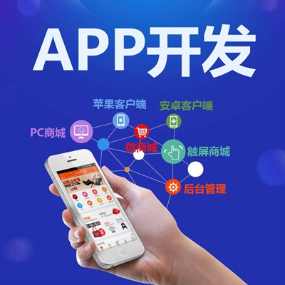APP，小程序，管理系統(tǒng)，嵌入式系統(tǒng)定制開發(fā)