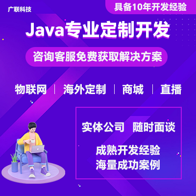 专业开发java软件商城系统小程序APP可二次开发