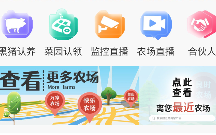 保定梧桐樹軟件