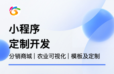 微信小程序开发|分销商城|可视化