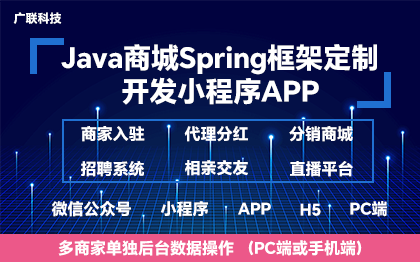 java商城Spring框架定制開發(fā)小程序APP網(wǎng)站建設(shè)